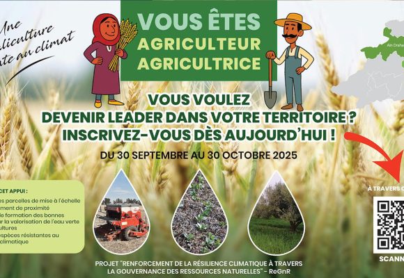 Jendouba | Pour une gestion durable de l’eau et des sols