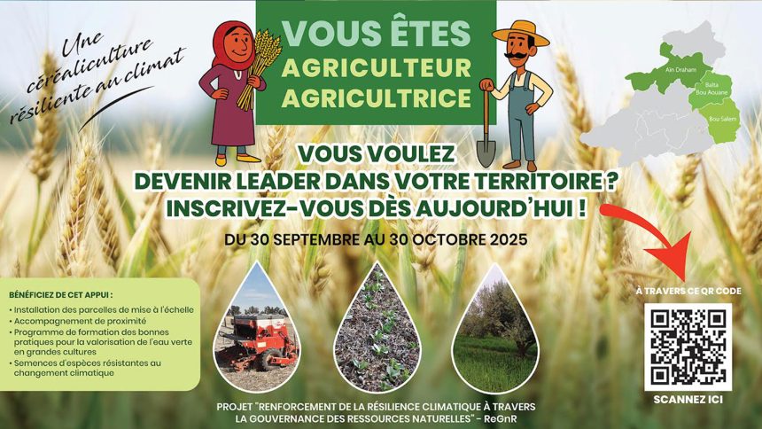 Jendouba | Pour une gestion durable de l’eau et des sols