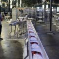 La Tunisie relance sa production de sucre