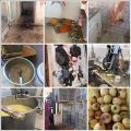 Saisie de 11 tonnes de produits alimentaires impropres à la consommation