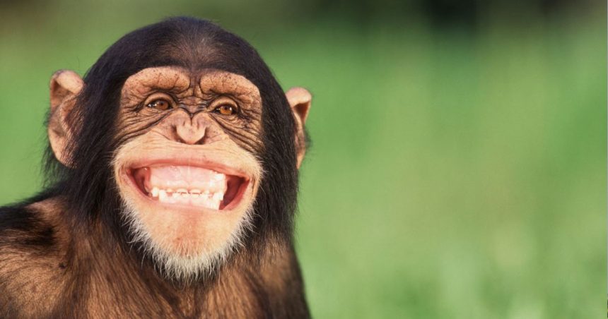 Dr Faouzi Addad | «Le rire est bon pour le cœur»