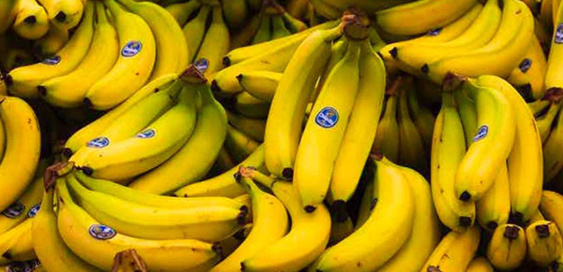 Tunisie | Le prix des bananes fixé par le ministère du Commerce