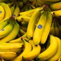 Tunisie | Le prix des bananes fixé par le ministère du Commerce