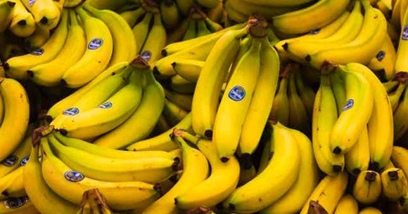 Tunisie | Le prix des bananes fixé par le ministère du Commerce