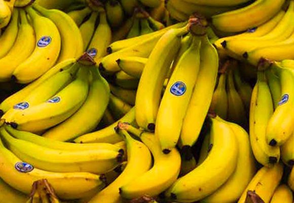 Tunisie | Le prix des bananes fixé par le ministère du Commerce