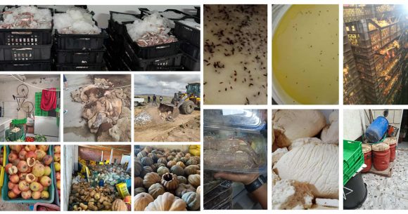 Tunisie | Saisie de plus de 29 tonnes de produits alimentaires impropres à la consommation