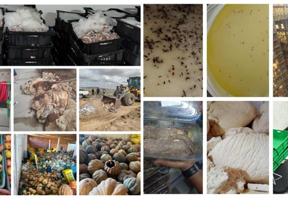 Tunisie | Saisie de plus de 29 tonnes de produits alimentaires impropres à la consommation