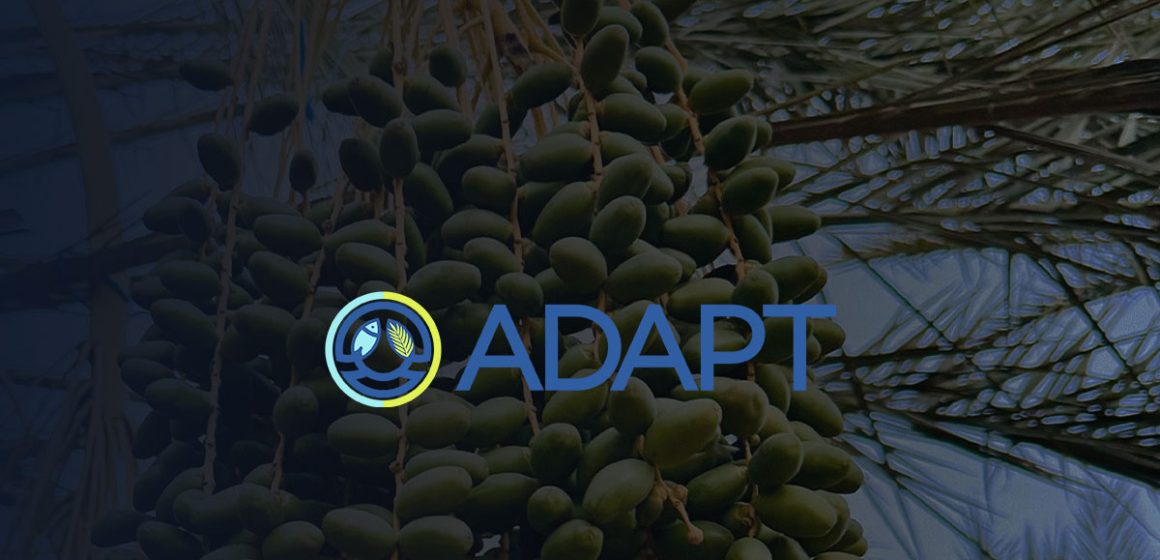 Adapt Tunisie | 3e appel à propositions du Fonds d’appui Adapt Investissements