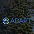 Tunisie | 3e appel à propositions du Fonds d’appui Adapt Investissements 