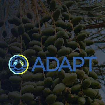 Tunisie | 3e appel à propositions du Fonds d’appui Adapt Investissements 