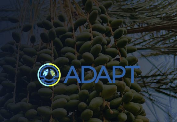 Tunisie | 3e appel à propositions du Fonds d’appui Adapt Investissements 