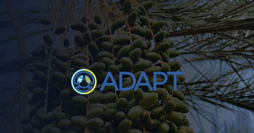 Tunisie | 3e appel à propositions du Fonds d’appui Adapt Investissements 
