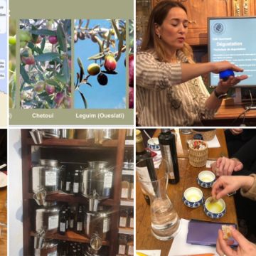 L’or vert de Tunisie en Belgique | Promotion de l’huile d’olive d’exception
