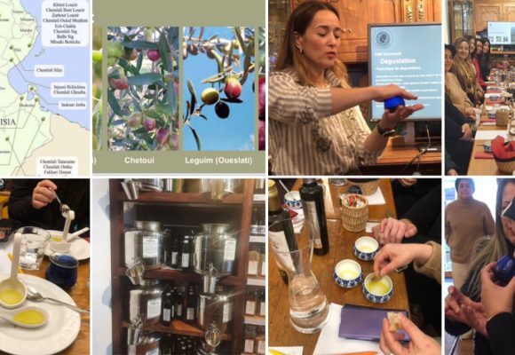 L’or vert de Tunisie en Belgique | Promotion de l’huile d’olive d’exception