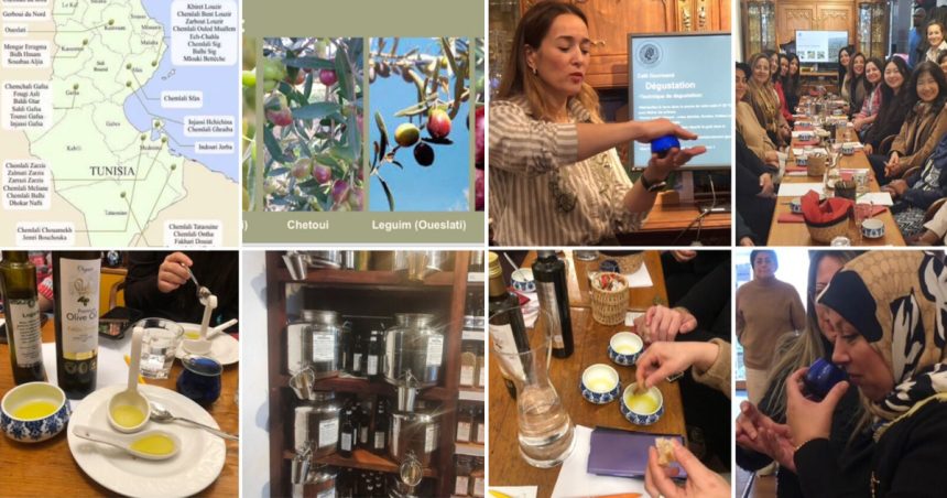 Belgique huile d'olive Tunisie L’or vert de Tunisie en Belgique | Promotion de l’huile d’olive d’exception