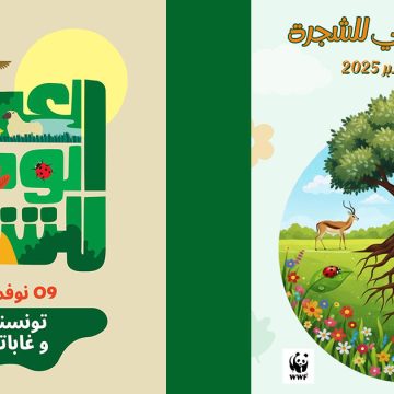 La Tunisie lance le projet de reboisement « La Ceinture Verte »