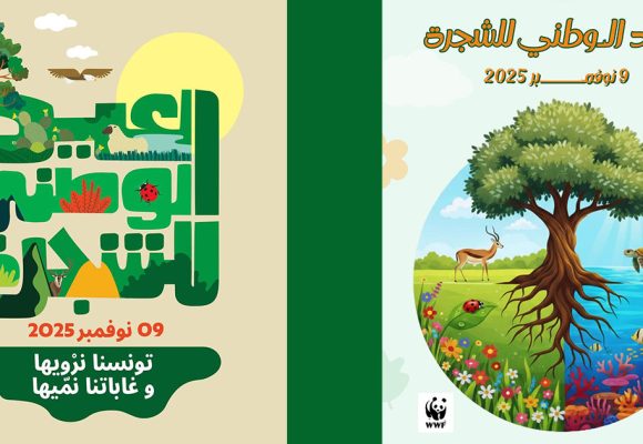 La Tunisie lance le projet de reboisement « La Ceinture Verte »