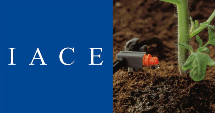 Débat à l’IACE | Stress hydrique et valorisation de l’eau