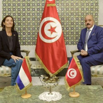 Josephine-Frantzen-Mohamed-Ali-Nafti Tunisie-UE | Fin de partie ou crise passagère ?