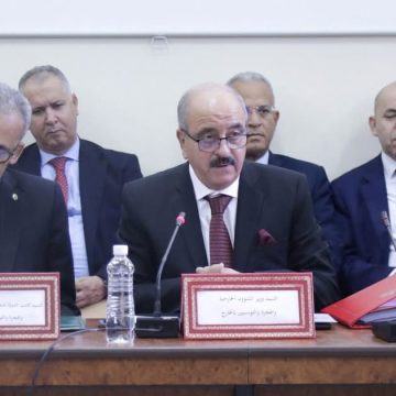 MOhamed-Ali-Nafti-Asxemblee Tunisie | 10 000 migrants subsahariens rapatriés depuis janvier