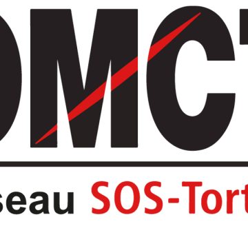 OMCT Tunisie annonce la suspension de ses activités pour un mois