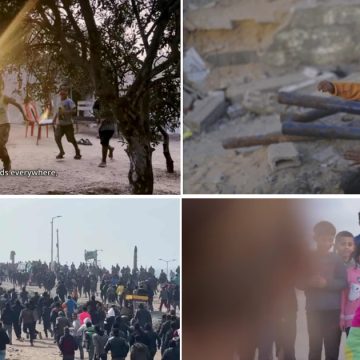 Du cœur de la Palestine… Gaza sur les écrans des Journées cinématographiques de Carthage