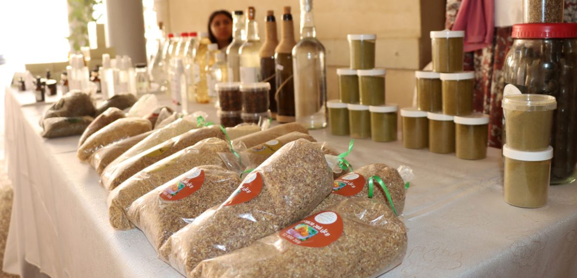 Produits-forestiers Tunisie | Forêts, pâturages et changement climatique