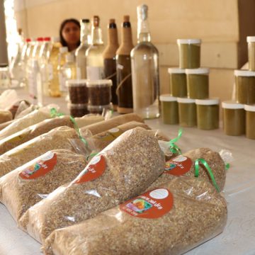 Produits-forestiers Tunisie | Forêts, pâturages et changement climatique