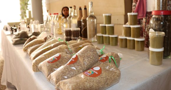 Produits-forestiers Tunisie | Forêts, pâturages et changement climatique