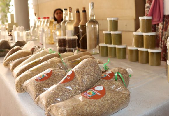 Produits-forestiers Tunisie | Forêts, pâturages et changement climatique