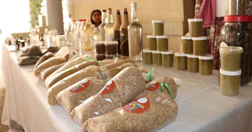 Tunisie | Forêts, pâturages et changement climatique