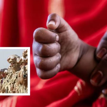 Les crimes sans fin des mercenaires russes au Mali