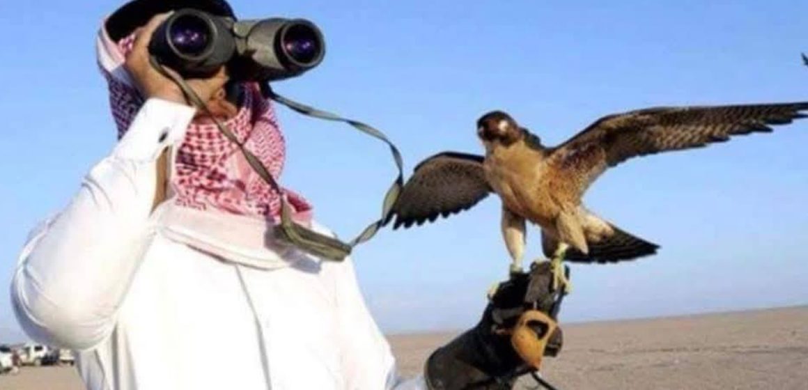 Braconnage | Un ressortissant qatari arrêté à Tataouine