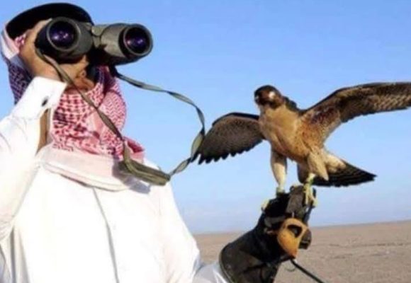 Braconnage | Un ressortissant qatari arrêté à Tataouine