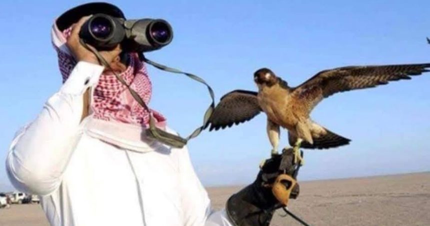 Braconnage Braconnage | Un ressortissant qatari arrêté à Tataouine