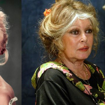 Brigitte-Bardot Brigitte Bardot | La lionne à la chevelure d’or ne rugira plus