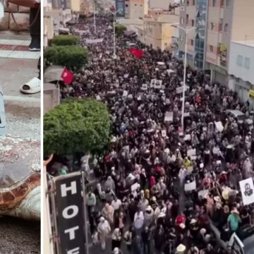 Gabès Gabès | Les habitants exigent le démantèlement définitif des unités polluantes du GCT