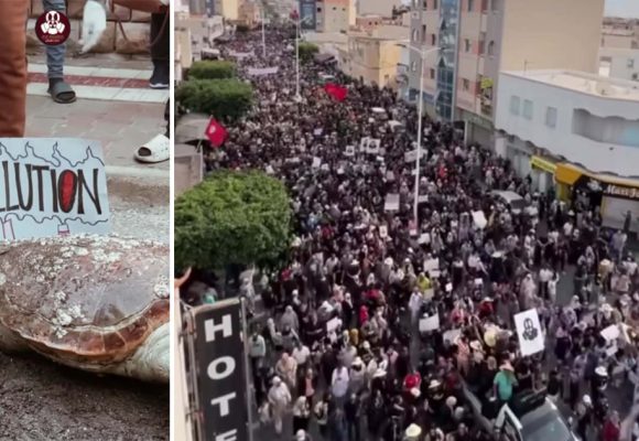 Gabès Gabès | Les habitants exigent le démantèlement définitif des unités polluantes du GCT