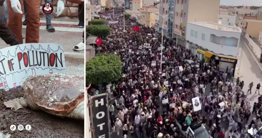 Gabès Gabès | Les habitants exigent le démantèlement définitif des unités polluantes du GCT