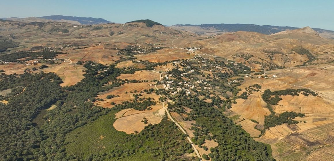 La Tunisie élabore un cadre de financement de la biodiversité