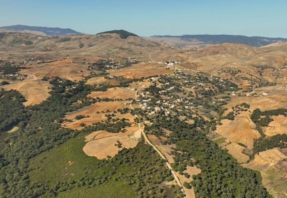 La Tunisie élabore un cadre de financement de la biodiversité