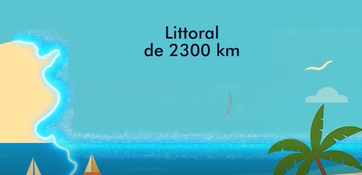 Littoral-Apal- Tunisie | Création d’aires marines et côtières protégées
