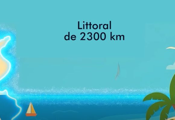 Tunisie | Création d’aires marines et côtières protégées