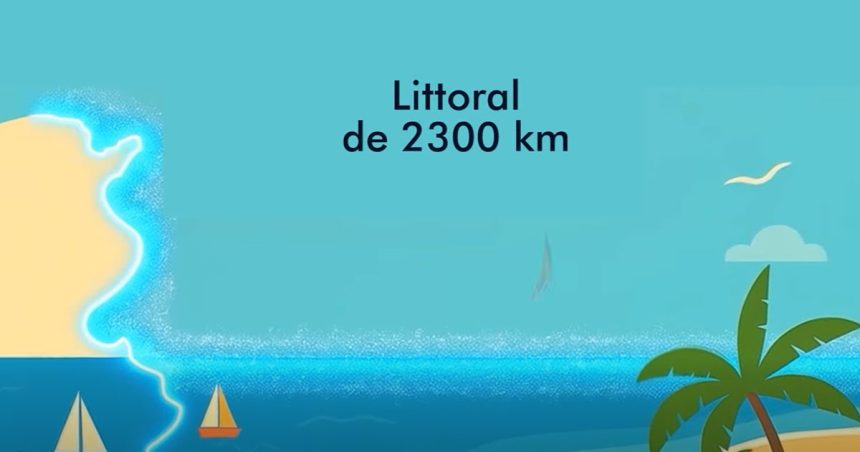 Tunisie | Création d’aires marines et côtières protégées