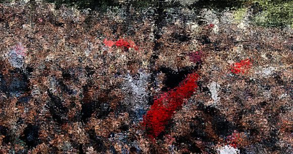 Selon l’IA, y aura-t-il une nouvelle révolution en Tunisie ?