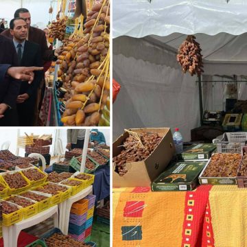 Semaine des dattes Tozeur | La semaine des dattes se poursuit jusqu’au 28 décembre
