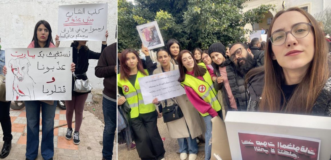 En photos | Mobilisation contre l’abattage des chiens errants