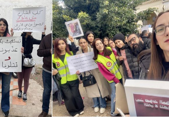 En photos | Mobilisation contre l’abattage des chiens errants