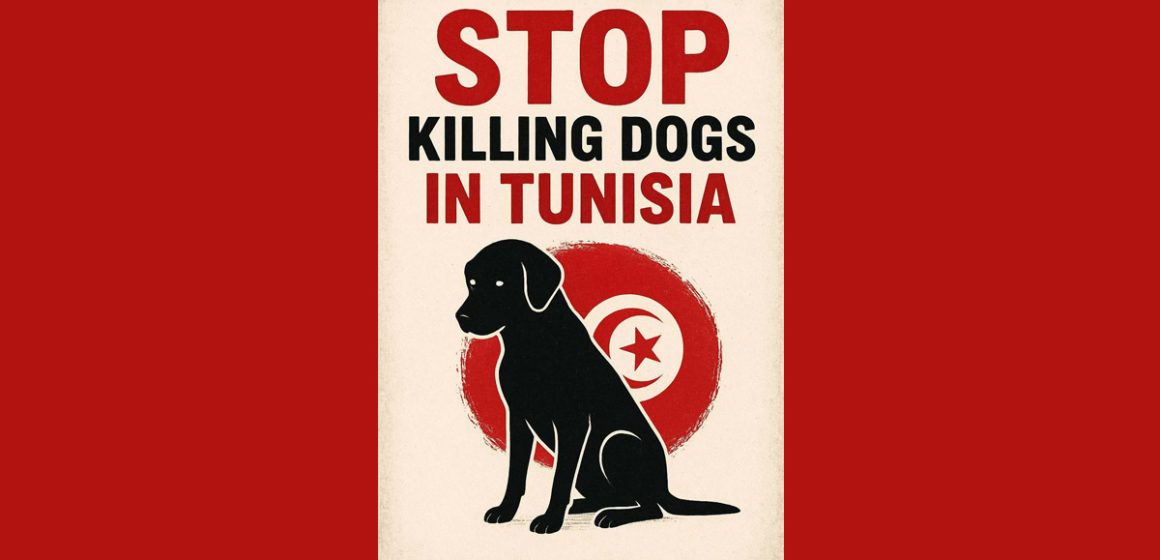 Cause animale | Manifestation au Bardo contre l’abattage des chiens errants