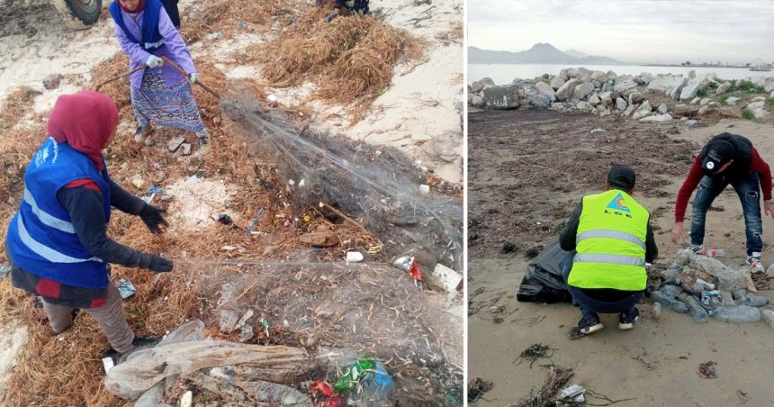 Intempéries | L&rsquo;Apal lance un programme d&rsquo;urgence pour le nettoyage des plages